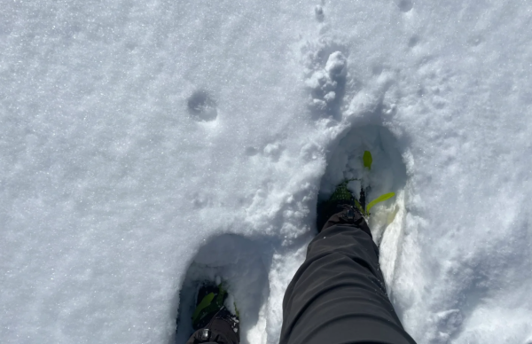 照片來源:小紅書@Scentstory 照片來源:小紅書@Scentstory