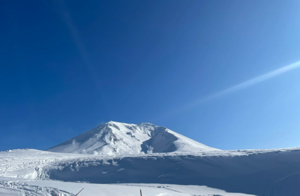 照片來源:小紅書@Scentstory 照片來源:小紅書@Scentstory