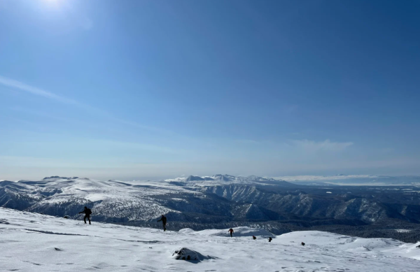 照片來源:小紅書@Scentstory 照片來源:小紅書@Scentstory