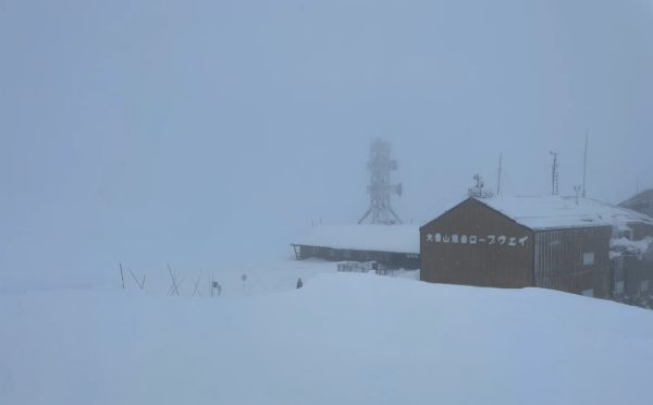 照片來源:小紅書@Scentstory 照片來源:小紅書@Scentstory