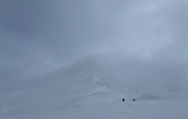 照片來源:小紅書@Scentstory 照片來源:小紅書@Scentstory