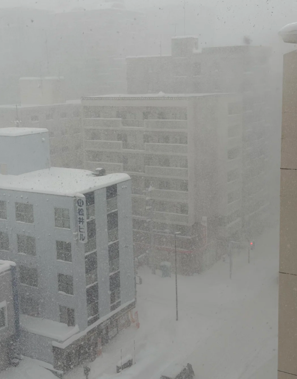 照片來源:小紅書@Zembarla 照片來源:小紅書@Zembarla