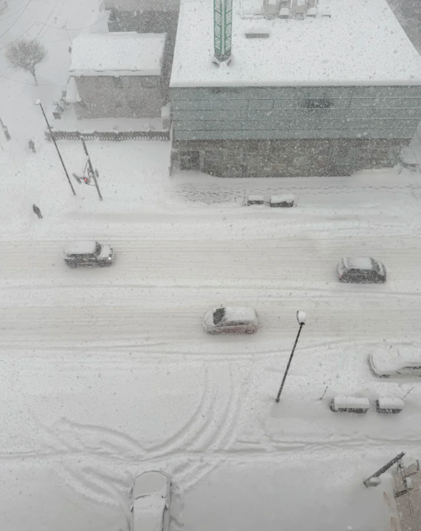 照片來源:小紅書@Zembarla 照片來源:小紅書@Zembarla