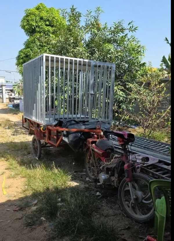 來源：紅星新聞 