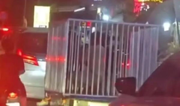 來源：紅星新聞 