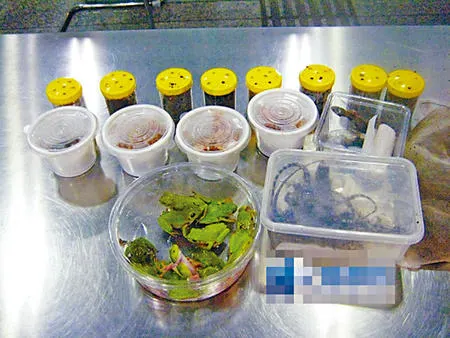 照片來源：微博