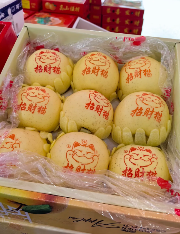 照片來源:小紅書@宫廷的「廷。」 照片來源:小紅書@宫廷的「廷。」