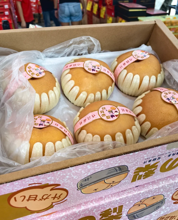 照片來源:小紅書@宫廷的「廷。」 照片來源:小紅書@宫廷的「廷。」