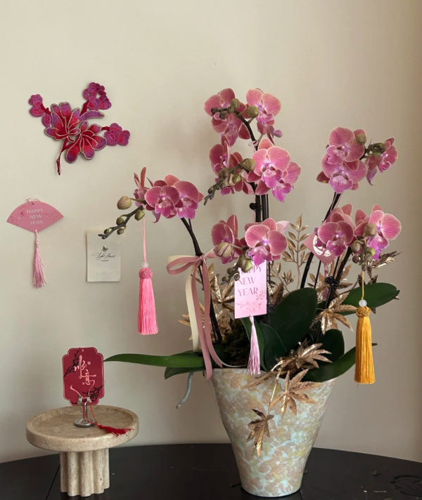 照片來源：小紅書@WENTING