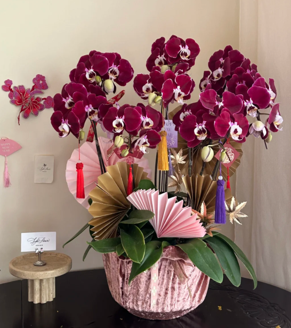 照片來源：小紅書@WENTING