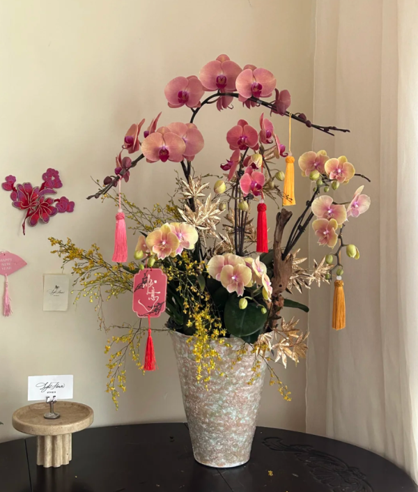 照片來源：小紅書@WENTING