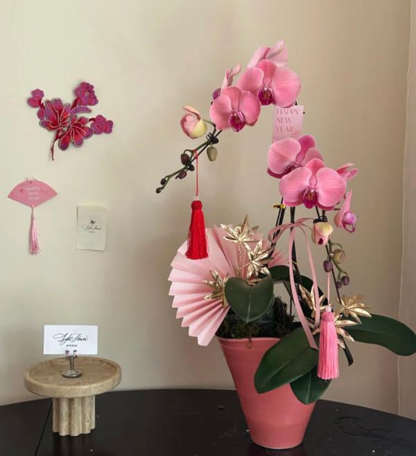 照片來源：小紅書@WENTING