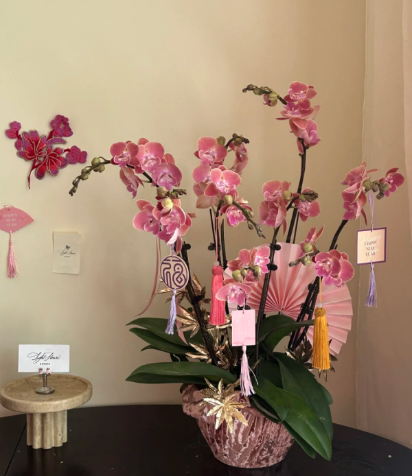 照片來源:小紅書@WENTING 照片來源:小紅書@WENTING