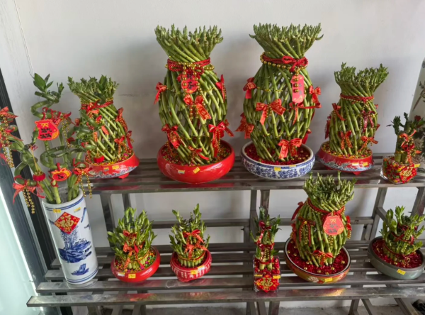 照片來源:小紅書@真的一米七二 照片來源:小紅書@真的一米七二