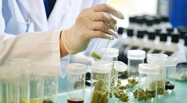 照片來源：小紅書@恒理律所 刘律师