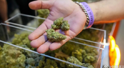 照片來源：微博