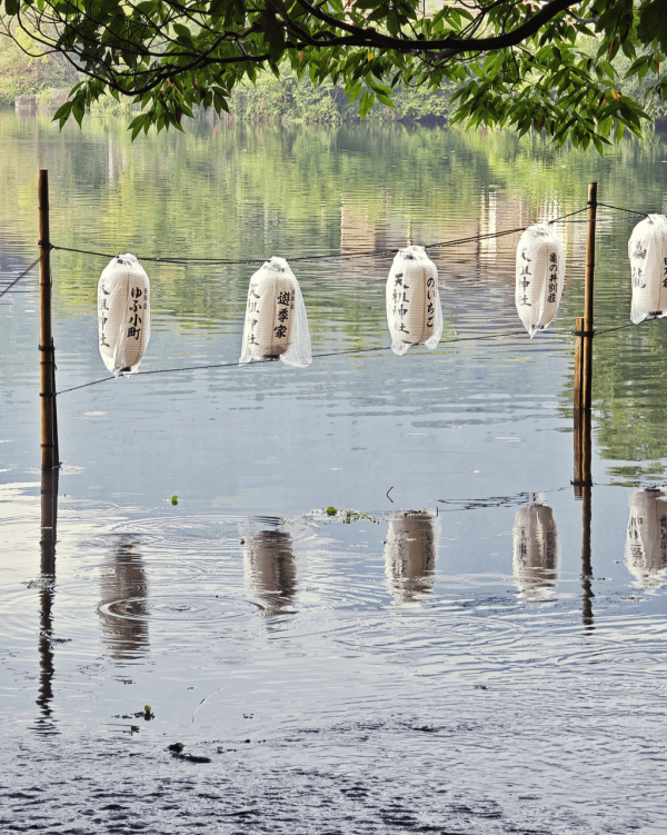 【九州自由行】九州6日5夜行程懶人包 溫泉放題/景點/美食/交通全攻略 
