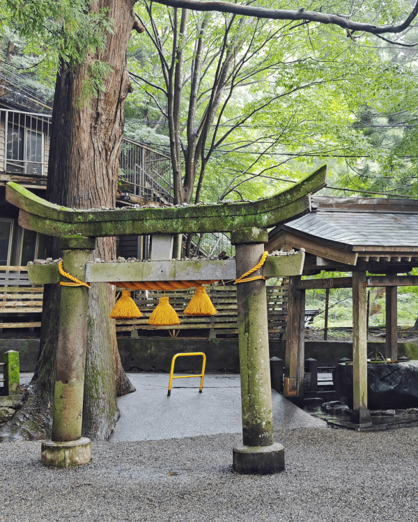 【九州自由行】九州6日5夜行程懶人包 溫泉放題/景點/美食/交通全攻略 