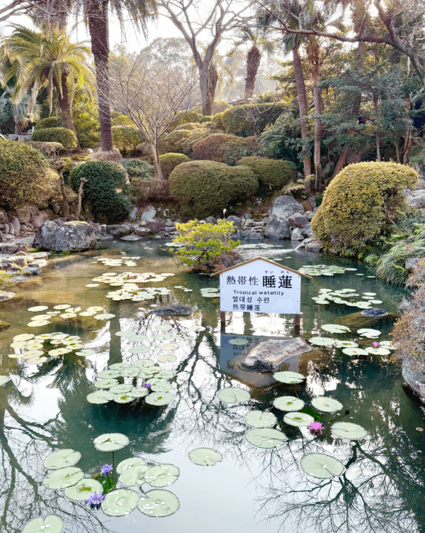 【九州自由行】九州6日5夜行程懶人包 溫泉放題/景點/美食/交通全攻略 