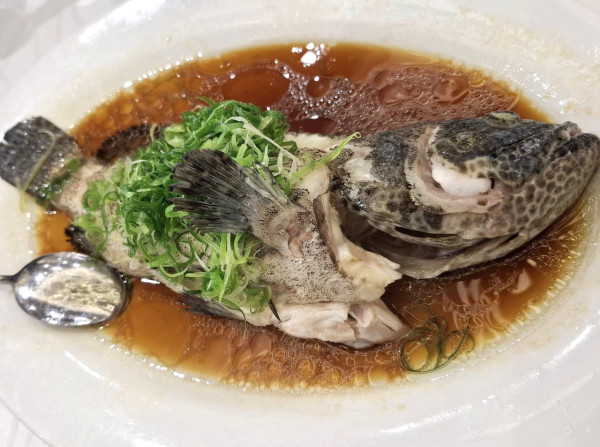 連鎖酒樓免費送走地雞/白灼蝦！晚市$38起歎蒸老虎斑/龍蝦伊麵/片皮鴨 (教1招即享優惠)