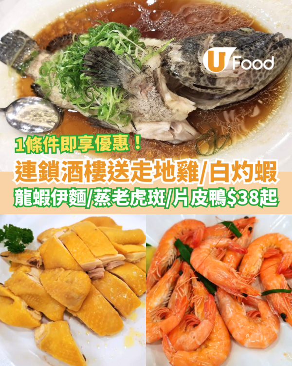 連鎖酒樓免費送走地雞/白灼蝦！晚市$38起歎蒸老虎斑/龍蝦伊麵/片皮鴨 (教1招即享優惠)