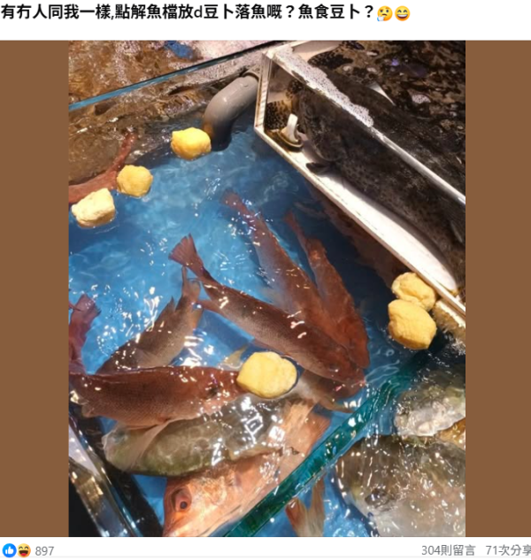 街市魚缸點解放「豆卜」？誤會係餵魚就大錯特錯！專家揭隱藏功用：原來係吸呢樣嘢