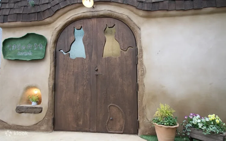 圖片來源：klook