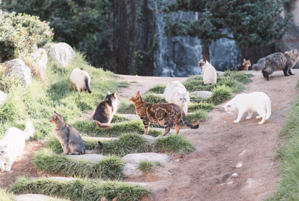 圖片來源：kkday