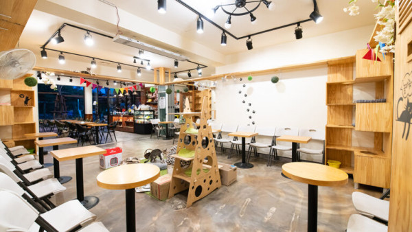 圖片來源：kkday