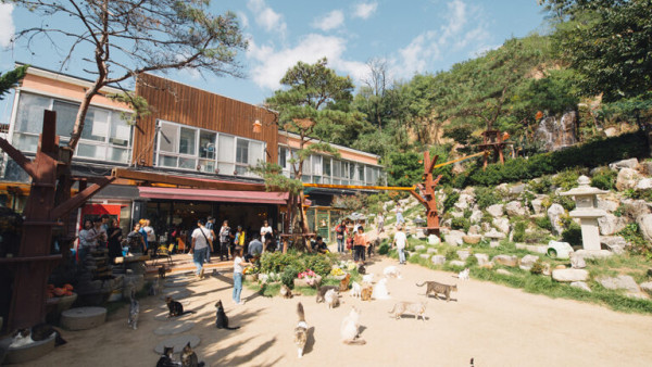 圖片來源：kkday