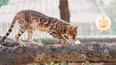 圖片來源：kkday