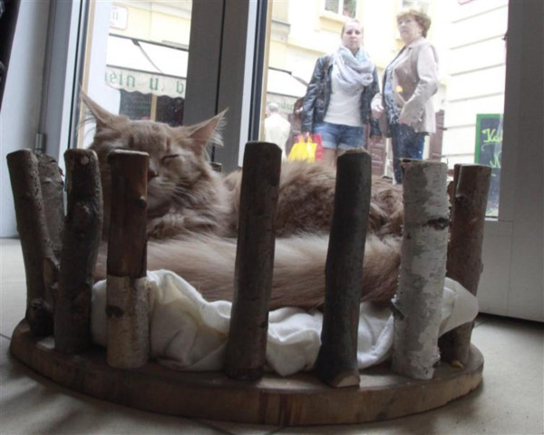 圖片來源：Reuters