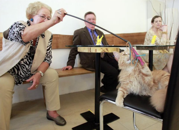 圖片來源：Reuters