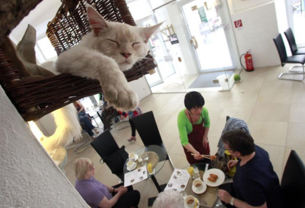 圖片來源：Reuters