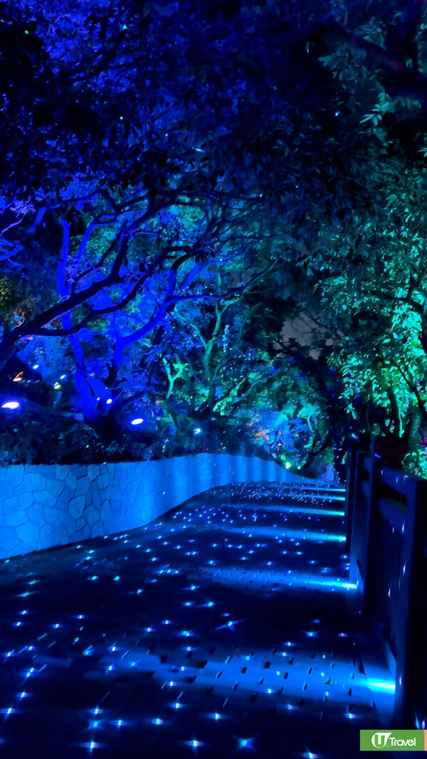 東莞親子遊｜龍鳳山莊2日1夜套票優惠全攻略  人均0！入住5星湯泉酒店+早晚自助餐+直通巴 