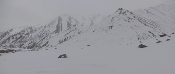 照片來源:WION 照片來源:WION