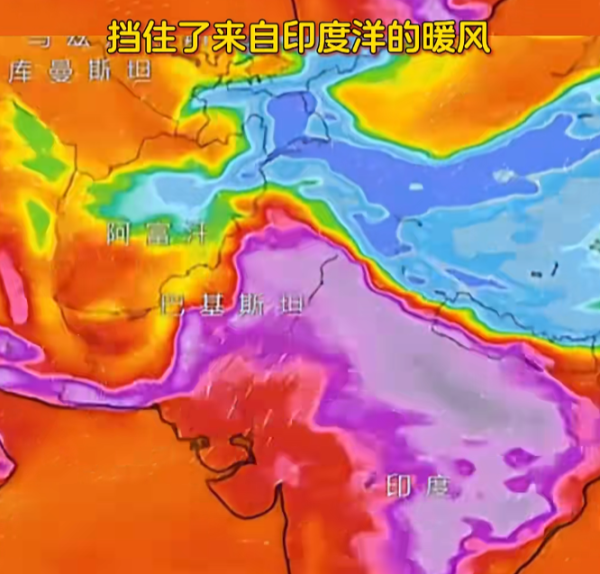 照片來源:小紅書@娱乐小哪吒 照片來源:小紅書@娱乐小哪吒