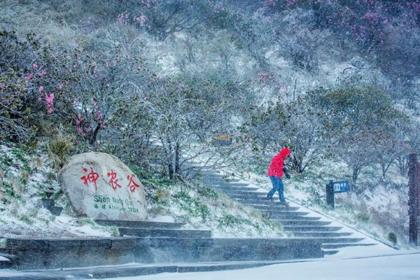 圖片:trip.com 深圳機場返港只1.5小時!港媽實測教行極速路線直達市區 網民加碼授慳錢攻略