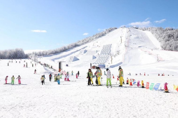 圖片:trip.com 深圳機場返港只1.5小時!港媽實測教行極速路線直達市區 網民加碼授慳錢攻略