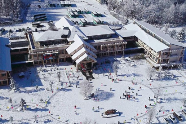 圖片:trip.com 深圳機場返港只1.5小時!港媽實測教行極速路線直達市區 網民加碼授慳錢攻略