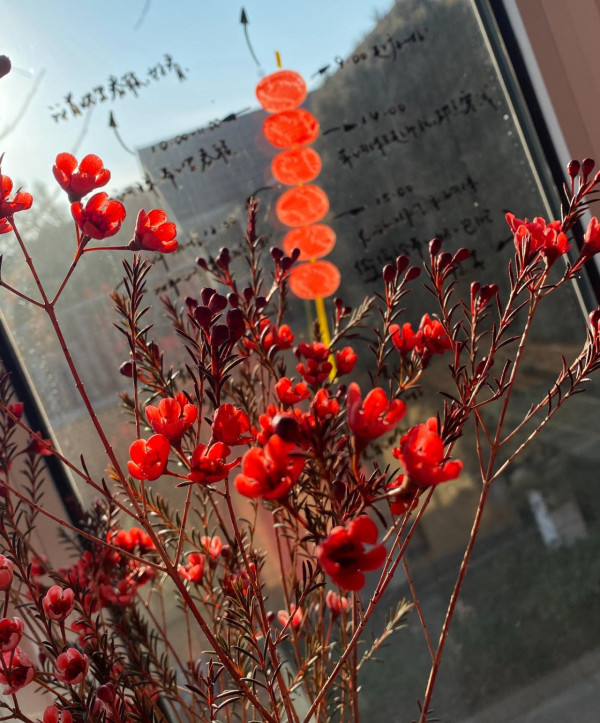 貼揮春千祈咪用膠紙！一撕即爛牆甩灰！5款無痕神器：貼歪重嚟都得＋零殘留