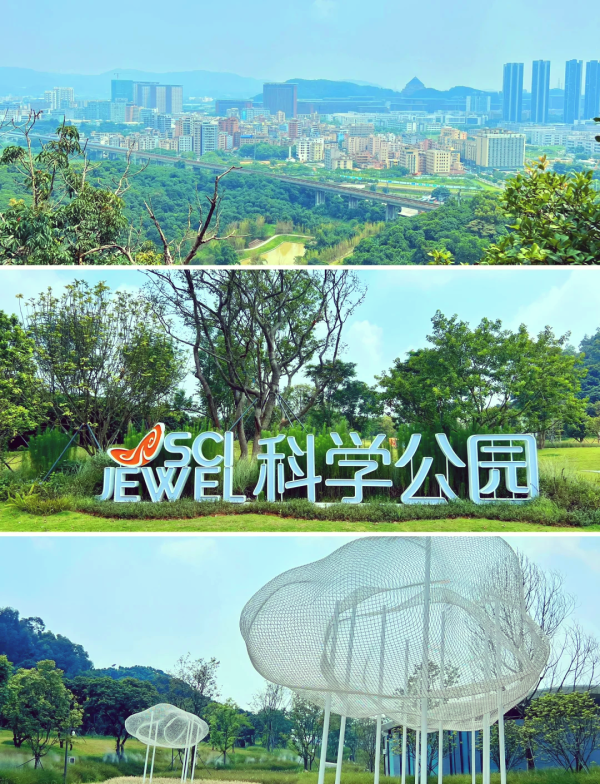 深圳年宵花市2026｜深圳新年迎春花市10大推介附地點交通！羅湖愛國路花市/福田賞年花 口岸免費直達巴士 