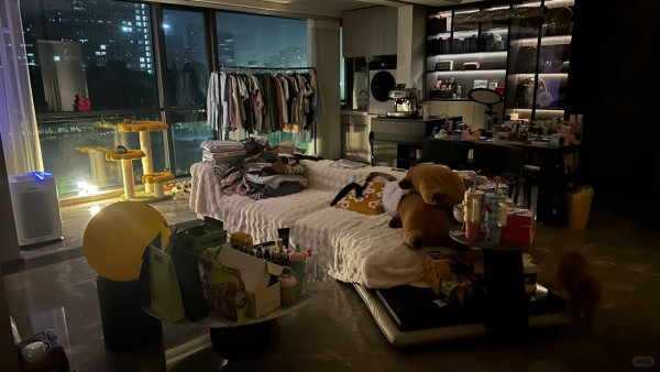 41歲傅穎搬屋前公開單身舊居極簡裝修 原來係隱形富婆坐擁千萬物業