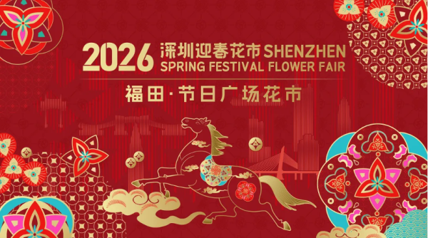 圖片來源：深圳本地寶