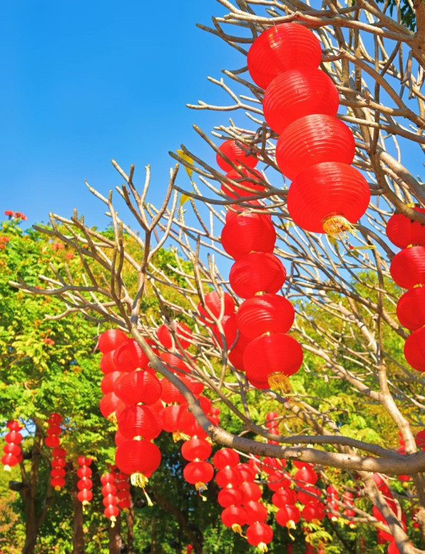 圖片來源：小紅書@凌煙閣