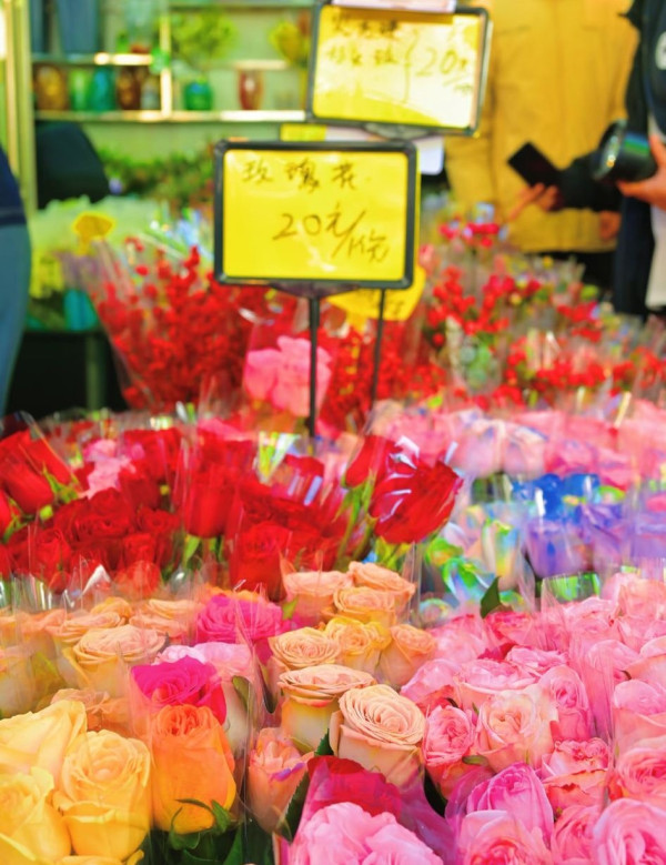 圖片來源：小紅書@凌煙閣