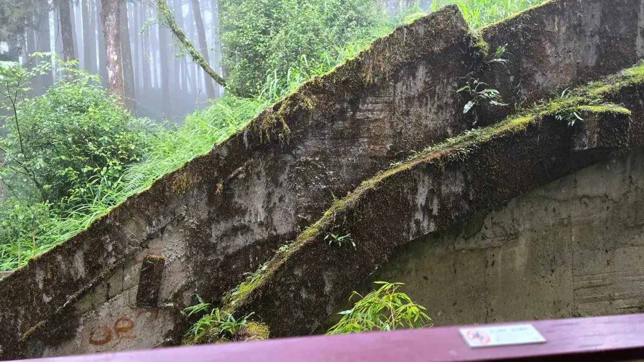 圖片來源:trip.com 圖片來源:trip.com