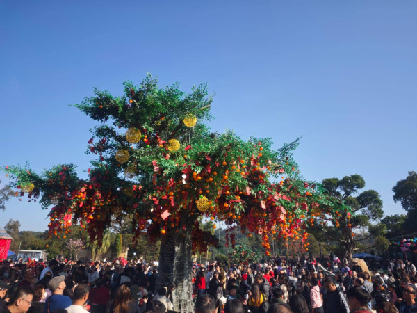 （圖片來源︰FB@香港許願節 Hong Kong Well-Wishing Festival）