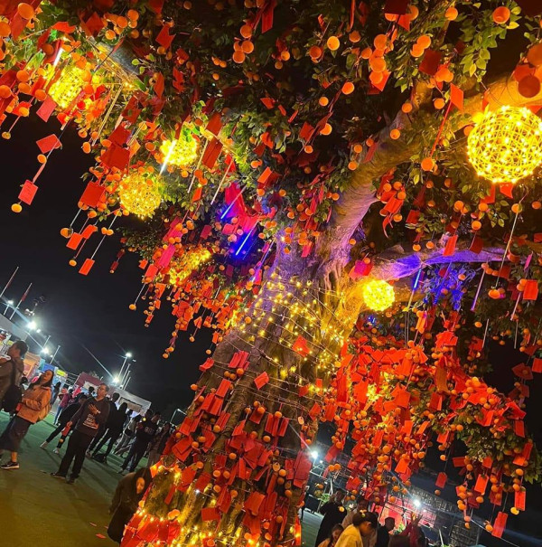 （圖片來源︰FB@香港許願節 Hong Kong Well-Wishing Festival）