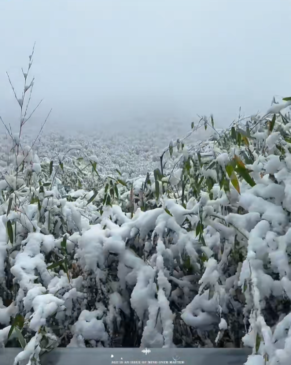 照片來源：小紅書@湖州微生活